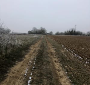 Au cœur des champs Nogent sur Seine - Nogent-sur-Seine - 5