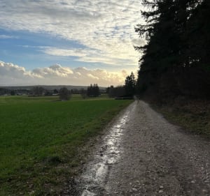 Petite tour de la Baffe - Charmois-devant-Bruyères - 5