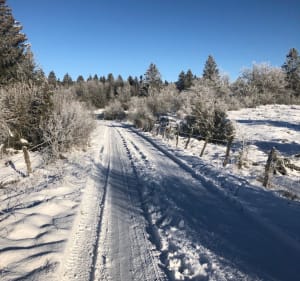 Balade de la Tanne, par la forêt de la Joux Derrière - La Chaumusse - 3