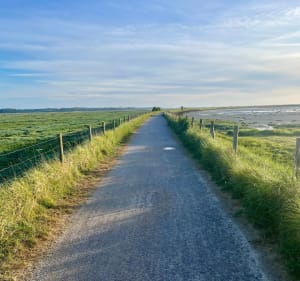 Le Crotoy, entre Baie de Somme et Foraines de Saint-Firmin - Le Crotoy - 3