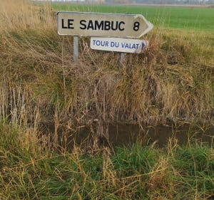 Petite balade en Camargue - Arles - 3