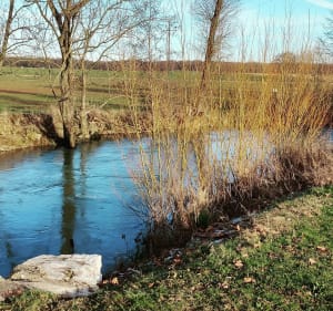 Promenade piste cyclable - Allichamps - 3