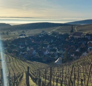 Entre Turckheim et Niedermorschwihr avec son clocher vrillé - Turckheim - 3