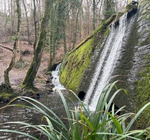 Découverte de la vallée du Costour - Guipavas - 3