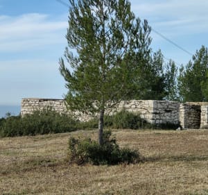 De Carro à Bonnieu en passant par les Auffans - Martigues - 3
