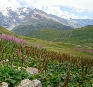Montée au Col de l'Iseran par Val-d'Isère - Val-d'Isère - 5