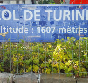 Le Col de Turini depuis Sospel - Sospel - 3