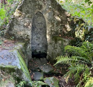Autour de la Chapelle de Vaulry - Vaulry - 3