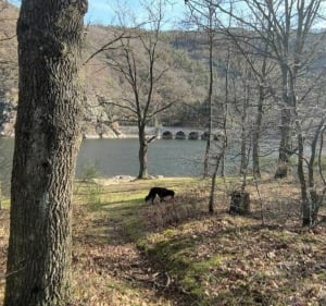 Gorges de la Loire, rive gauche depuis Caloire - Caloire - 3