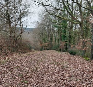 Vallée de La Cisse à Molineuf - Valencisse - 3
