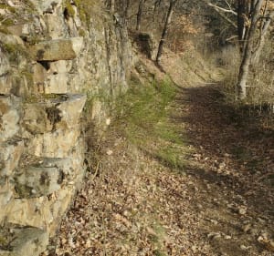 Boucle Entremont/ Lodines - Saint-Laurent-Chabreuges - 3