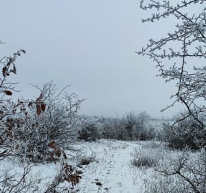 Balade a Vesthalten, par la Chapelle Oelberg - Westhalten - 3