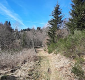 Auberge et lac Vosgien et tour du Pré Thia - La Bresse - 3