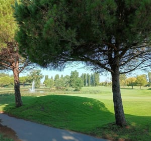 Wandeling vanuit Grau-du-Roi, door het Boucanet-dennenbos en La Grande Motte - Le Grau-du-Roi - 5
