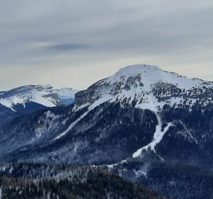 La Pinéa et le Charmant Som - Sarcenas - 3