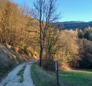 Les Collodes par le chemin de la cascade - Saint-Martin-d'Hères - 4