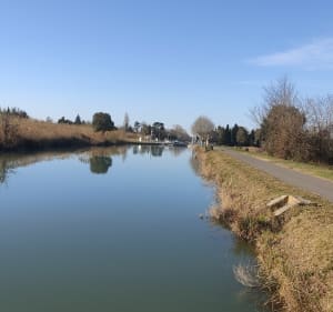 Boucle de la plaine de Beaucaire - Beaucaire - 3