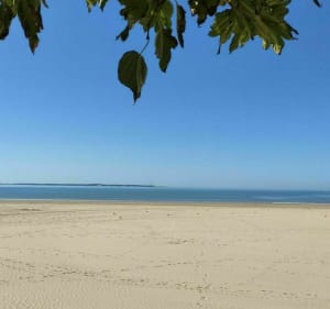 Royan, de la pointe de Vallières à la Conche de Pontaillac à vélo - Saint-Georges-de-Didonne - 3