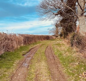 Parcours de bois de la garde - Pionsat - 3