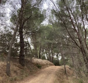 Boucle à Sainte-Valiere - Coline - 4