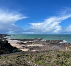 De la plage du Guen à la Fosse-Eyrand, entre mer et bois - Erquy - 5