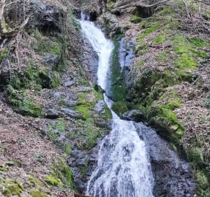 Cascade du Siehlbaechle en forêt de Wattwiller - Wattwiller - 3