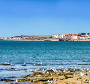 Balade à vélo Wimereux et ses Dunes de la Slack - Wimereux - 5