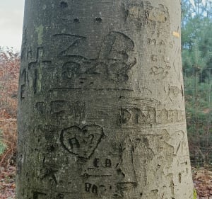 Dénivelé autour de Coye la Forêt - Coye-la-Forêt - 3