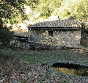 Les splendeurs du Luberon superbe boucle au départ de Robion - Robion - 5