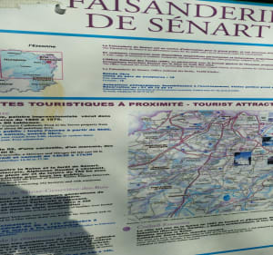 Vers forêt de Sénart Faisanderie - Saint-Pierre-du-Perray - 3