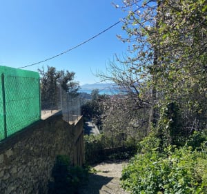 Tour du Vinaigrier au départ du Col de Villefranche - Beaulieu-sur-Mer - 5