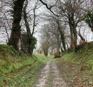Circuit dans les petits chemins creux autour de St-Lô - Saint-Lô - 4