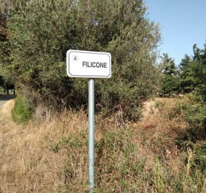 Bezoek aan een ruïne op de Buttogio-piek in de Filicone - Oletta - 3