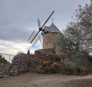 Autour de Collioure - Collioure - 3