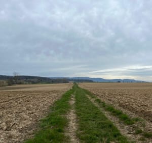 Autour de Hunspach - Hunspach - 3