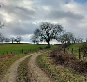 Sur les hauteurs de grenant les Sombernon - Grenant-lès-Sombernon - 3