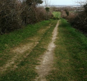 Chemin de Saint Martin à Saint-Priest - Saint-Priest - 3