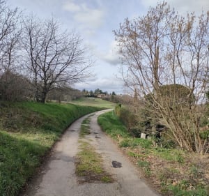Bol d'air par Charavel, au dessus d'Estressin - Vienne - 3