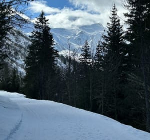 Montée Pierre Larron via l’Empyrée et les Bachals - Les Avanchers-Valmorel - 5