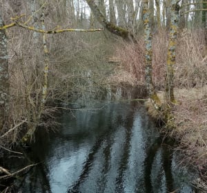 Promenade depuis le hameau de Brieux, par Tramolé et Culin - Eclose-Badinières - 3