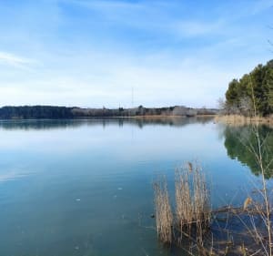 De Rognac au lac bleu (le Realtor) - Rognac - 3