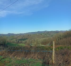 Les coteaux de Brignac - Brignac-la-Plaine - 3