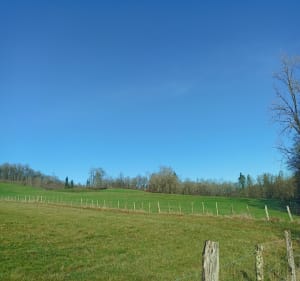 Les coteaux de Brignac - Brignac-la-Plaine - 4