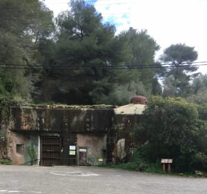 Insolite circuit entre mer et montagne depuis Menton - Menton - 5