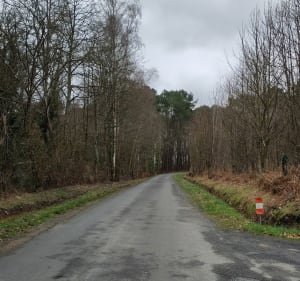 Boucle au départ de Parigné l'Evêque vers le Sud-ouest - Parigné-l'Évêque - 3