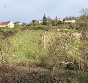Tour de Sancerre et Saint-Satur - Sancerre - 3