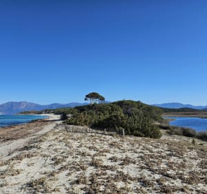 Plage de Saleccia, désert des Agriates - Chrystelle - 3