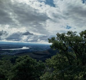Mauves, départ au pieds des vignes - Tournon-sur-Rhône - 3