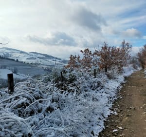 Sur les hauteurs de Saint-Chamond vers le Pilat - Saint-Paul-en-Jarez - 3