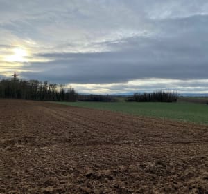 Petit tour dans le paysage Hausbergien et le Fort Frère - Oberhausbergen - 5